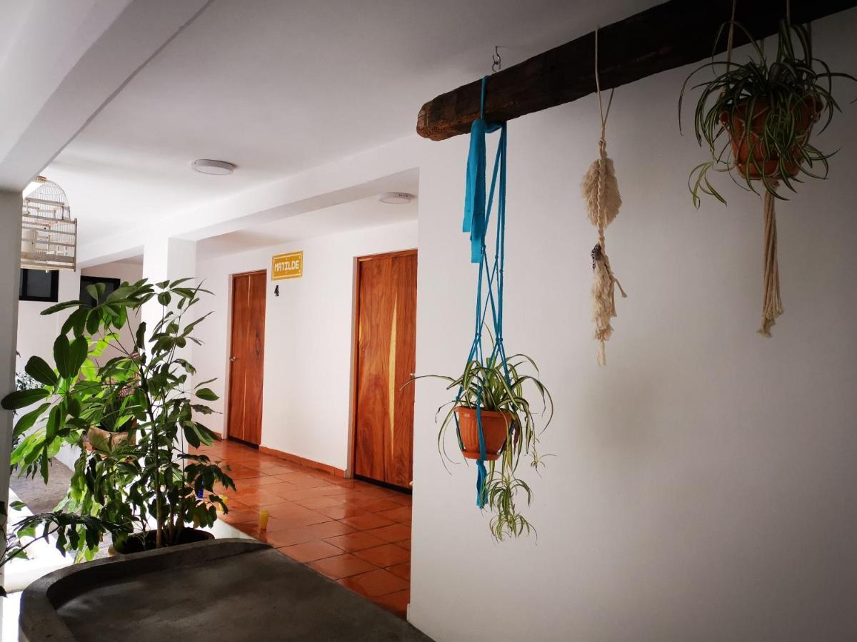 Santa Josefita B&B 촐룰라 외부 사진